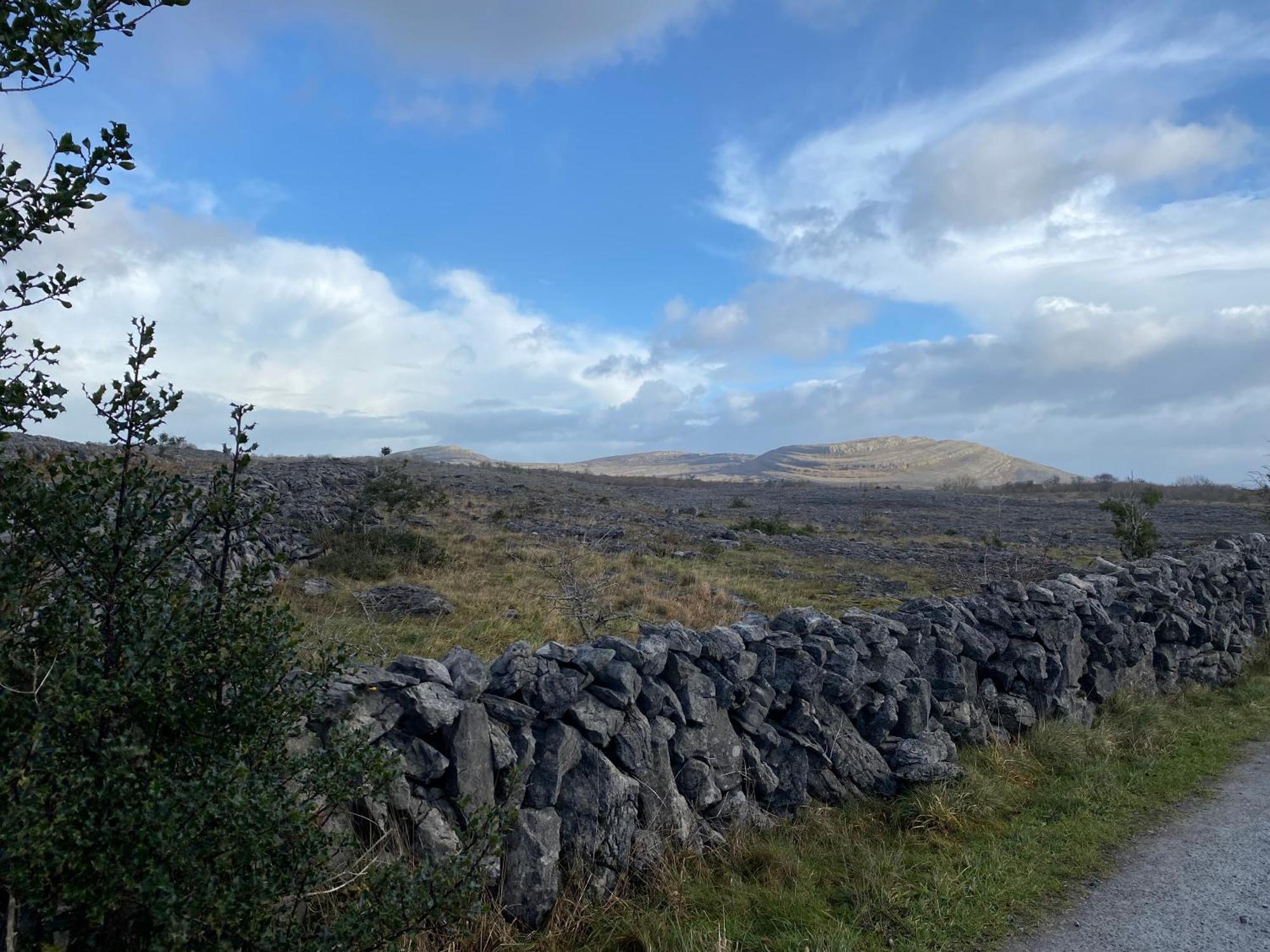 Burren Garden Glamping Hut Villa Boston Luaran gambar